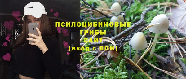 герыч Алзамай