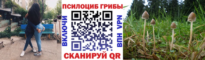 Купить  Сергач  Псилоцибиновые грибы ЛСД 