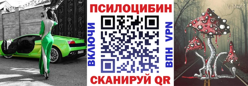 Галлюциногенные грибы Psilocybe Сергач