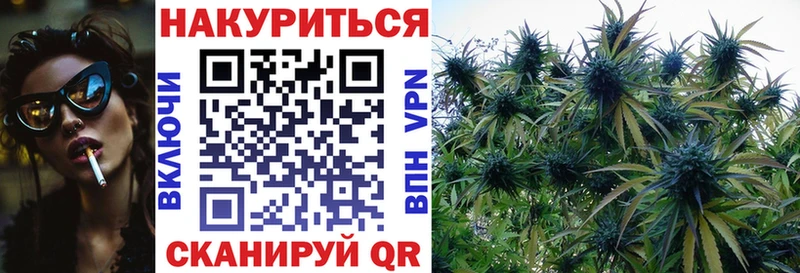 Канабис OG Kush  Купить где  Сергач 